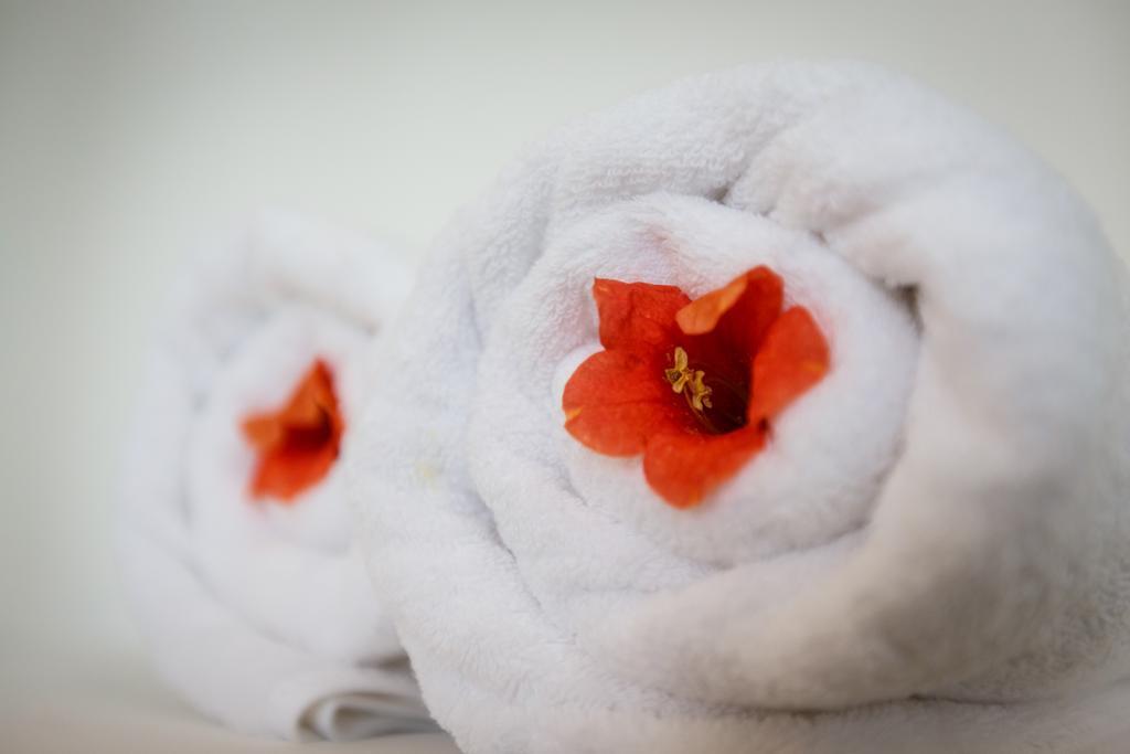 Retreat Home Hoian Hội An Ngoại thất bức ảnh